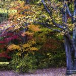 Desktop calendar, 1280 x 1024 for square and laptop monitors.