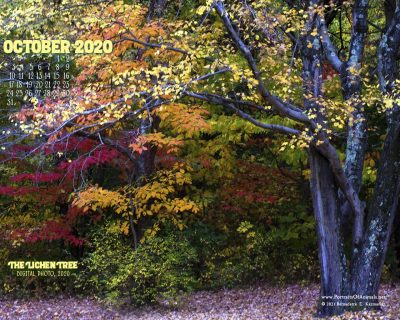 Desktop calendar, 1280 x 1024 for square and laptop monitors.