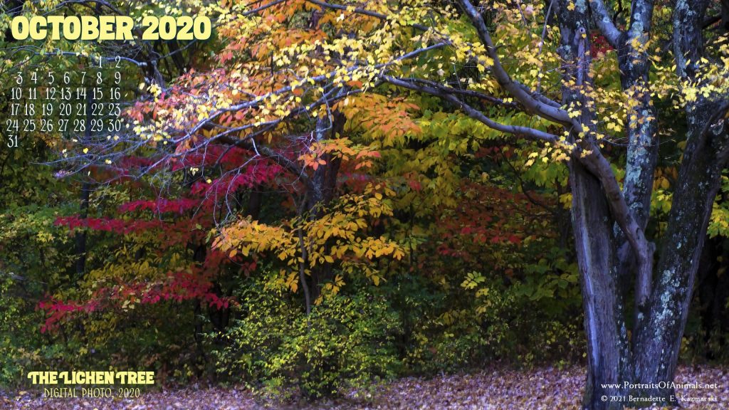 Desktop calendar 2560 x 1440 for HD and wide screens.