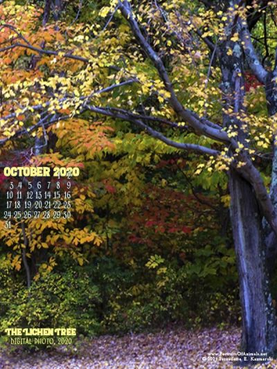 Desktop calendar, 600 x 800 for large mobile devices and tablets.
