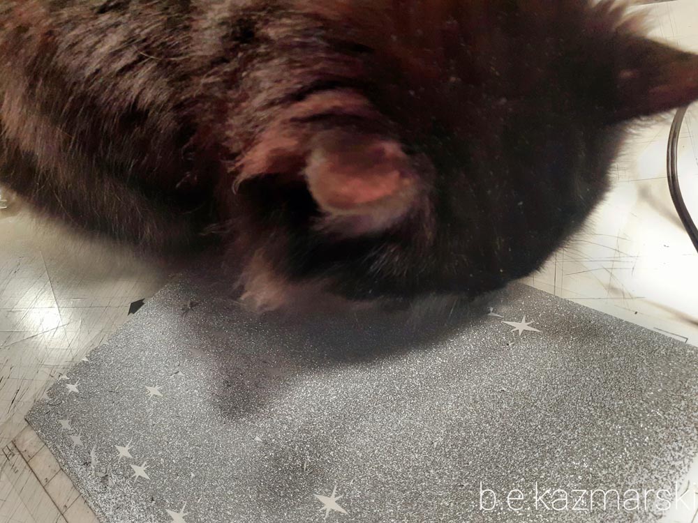 black cat with sparkly vinyl