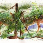 watercolor of deer in my back yard