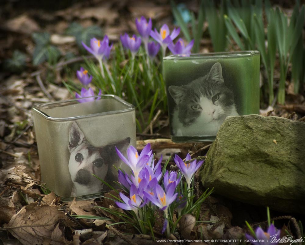 Custom Pet Memorial Votives