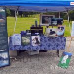 Dogapalooza Display