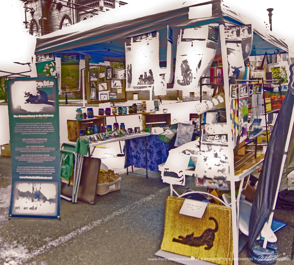 Display-tent-Carnegie-spring-festival-1000px