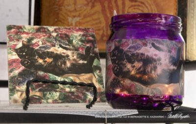 tortoiseshell cat gifts