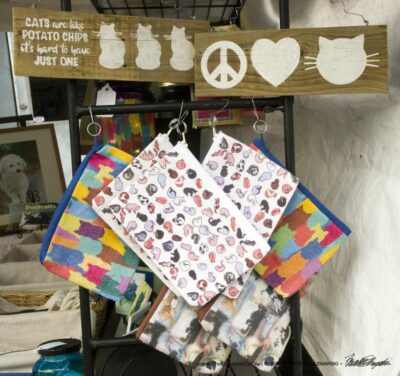 cat signs and accessory bags