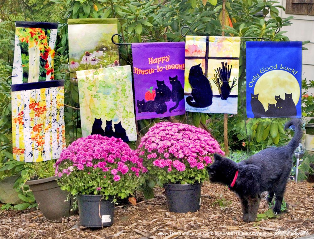 black cat with garden flag