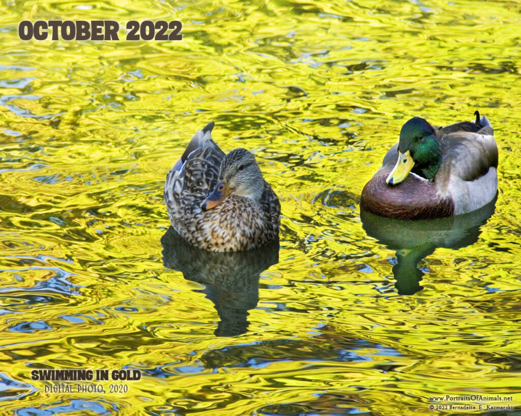 Desktop calendar, 1280 x 1024 for square and laptop monitors.