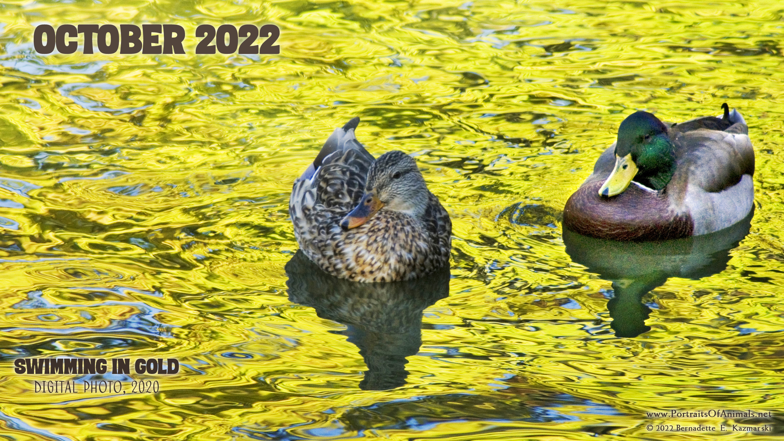 Desktop calendar 2560 x 1440 for HD and wide screens.