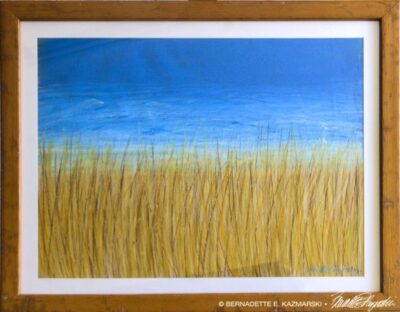 Slava Ukraini framed.