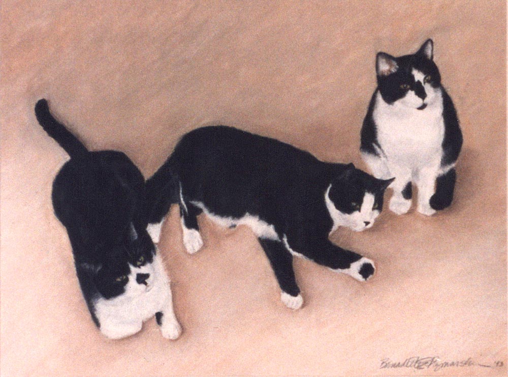 Three Black and White Cats, pastel, 16 x 22, 1992 © Bernadette E. Kazmarski