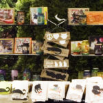Display of feline-themed gifts.