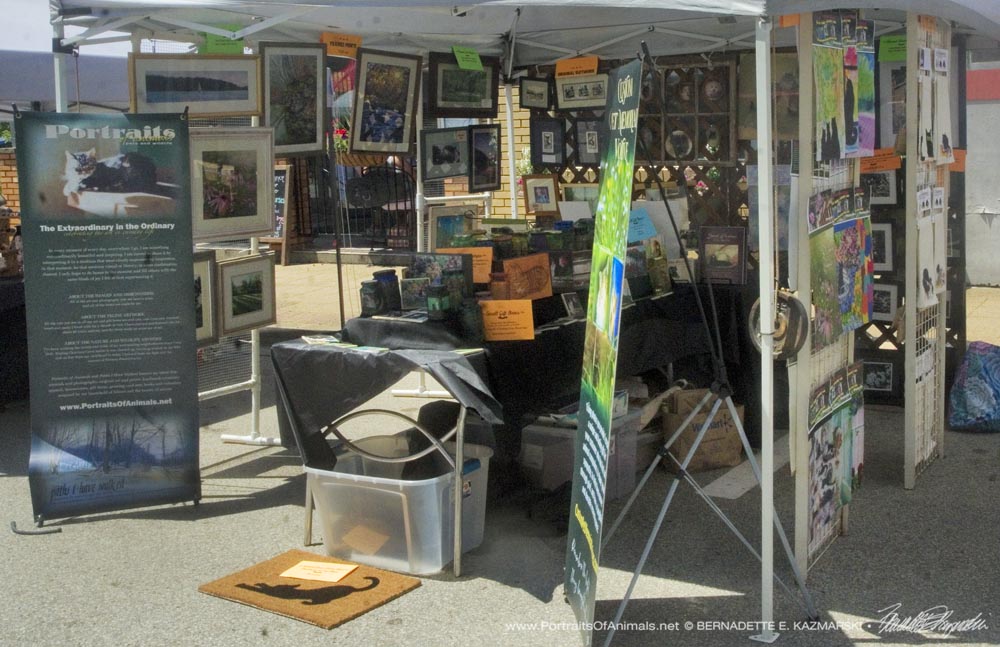 Carnegie Farmers Market tent display, left.