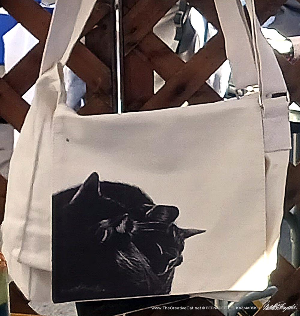 Black and Light Messenger Bag.