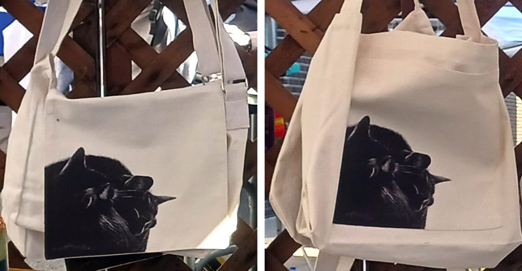 Black and Light Messenger or Extra-large Tote Bag.