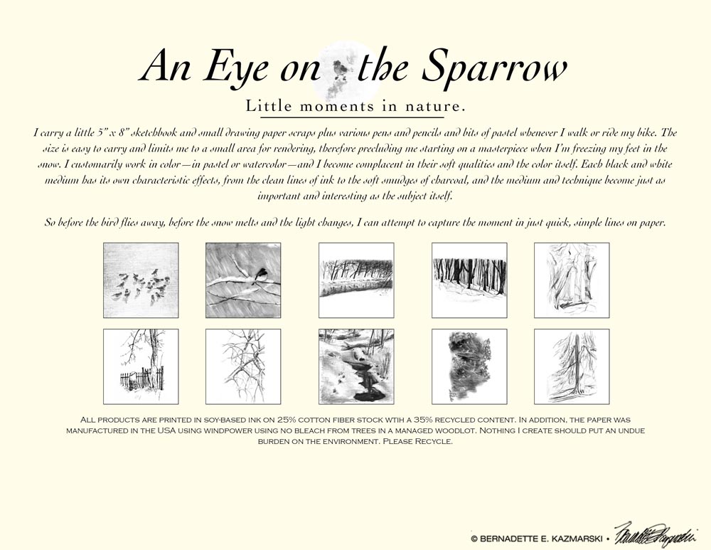 An Eye on the Sparrow box label.