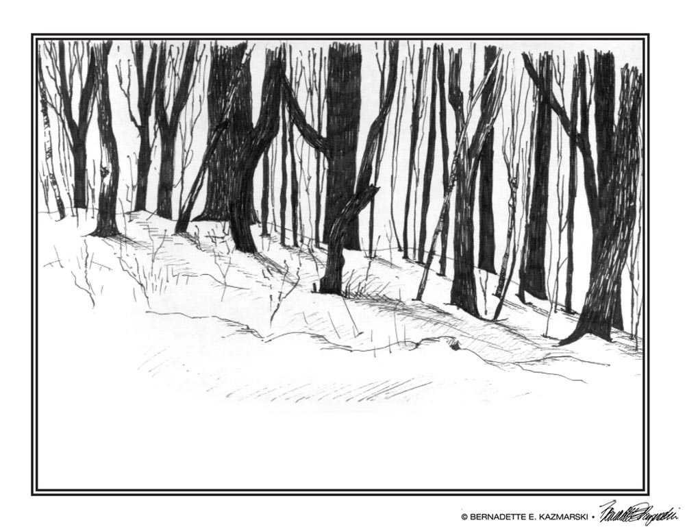 "Light Woods" note card.