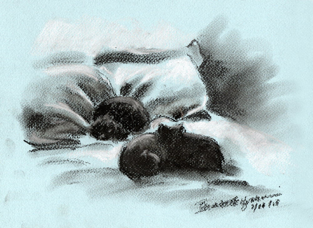 "Quiet Sunday", black and white pastel on blue pastello paper, 10" x 7", 2/24/2013 © Bernadette E. Kazmarski