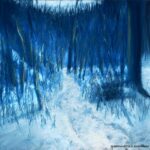 "Wandering in the Snow," pastel, 9" x 12", 2026 © Bernadette E. Kazmarski