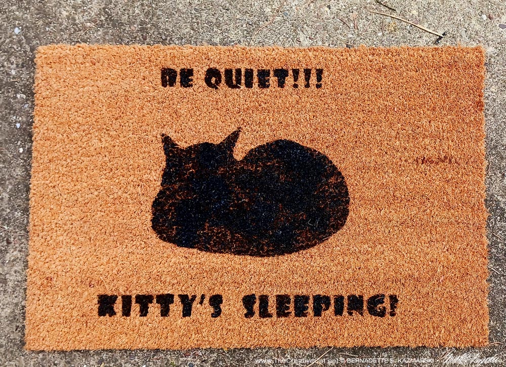 Be Quiet! Kitty's Sleeping Doormat