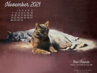 Featured Artwork and November Desktop Calendar: Best Friends