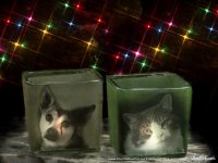Bring an Angel Pet Into the Holidays with a Custom Pet Memorial Votive