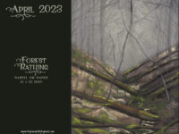 April Nature Desktop Calendar: Forest Bathing