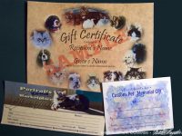 Gift Certificates for Merchandise, Custom Art or Custom Pet Memorial Gifts