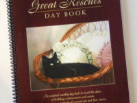 Great Rescues Day Book: Portraits, Stories, Day Book and Feline Care Book