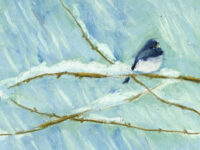 Snowbird, Winter Wild Bird Pastel