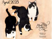 April Feline Desktop Calendar: Three Black and White Cats