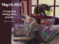 Featured Artwork and March Desktop Calendar: Tri-color Girls Settling Down for a Nap – The Creative Cat