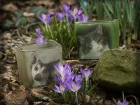 Custom Pet Memorial Votive, a Special Gift for Special People